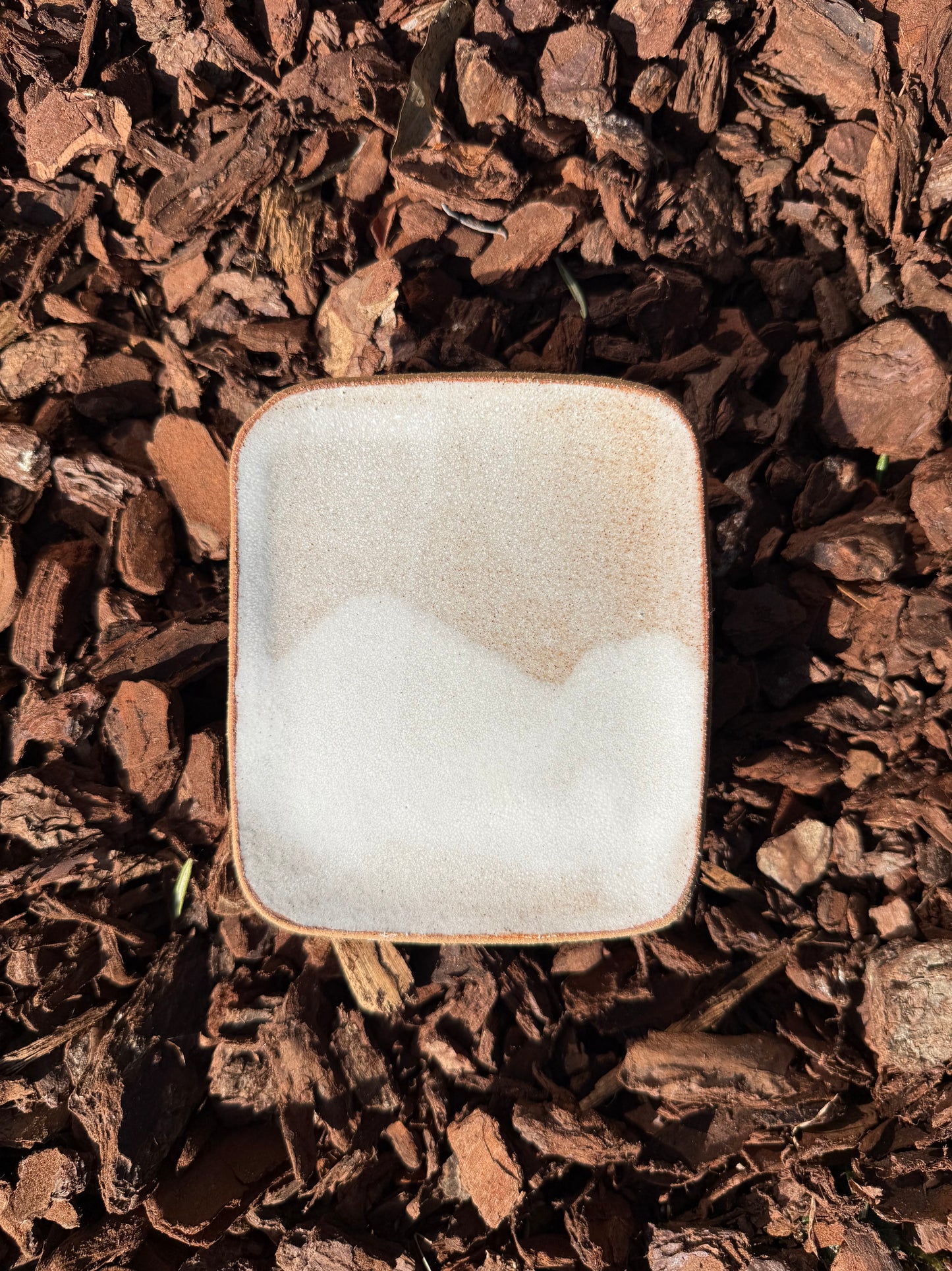 Assiette Sno