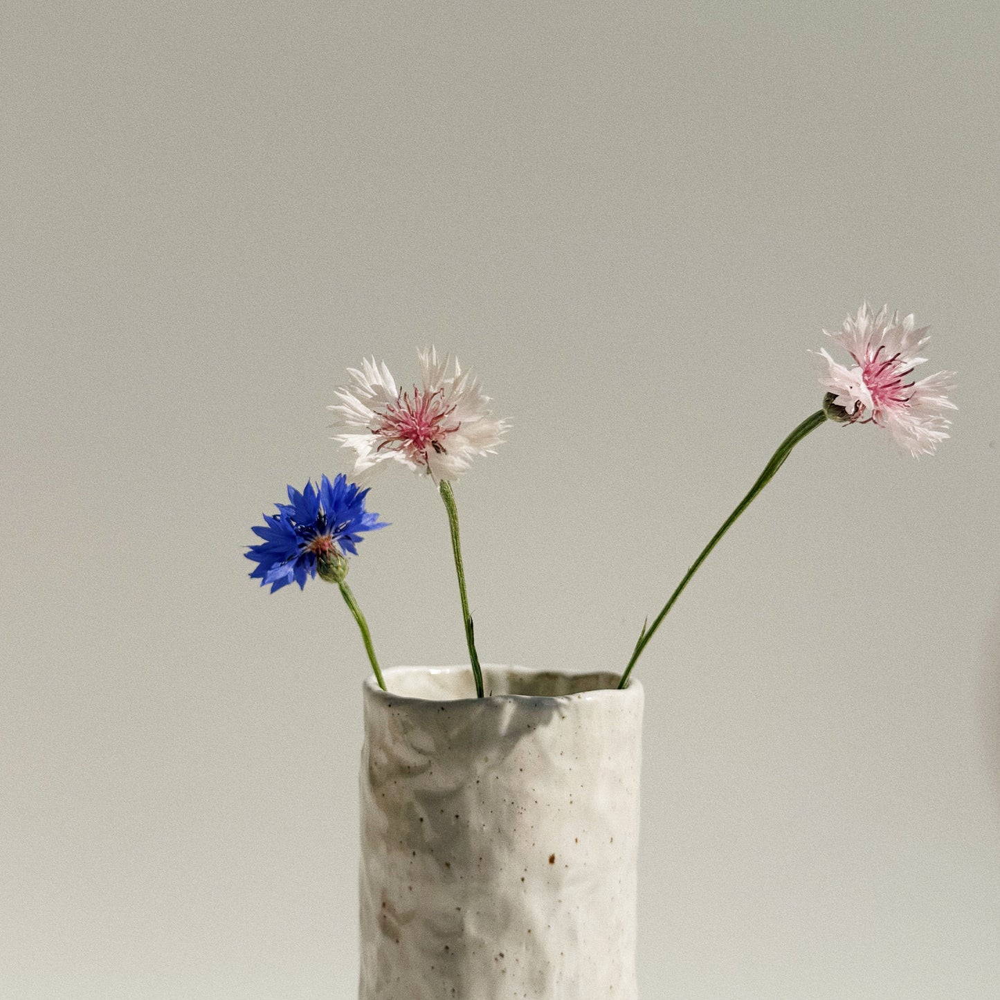 Vase pincé blanc #2