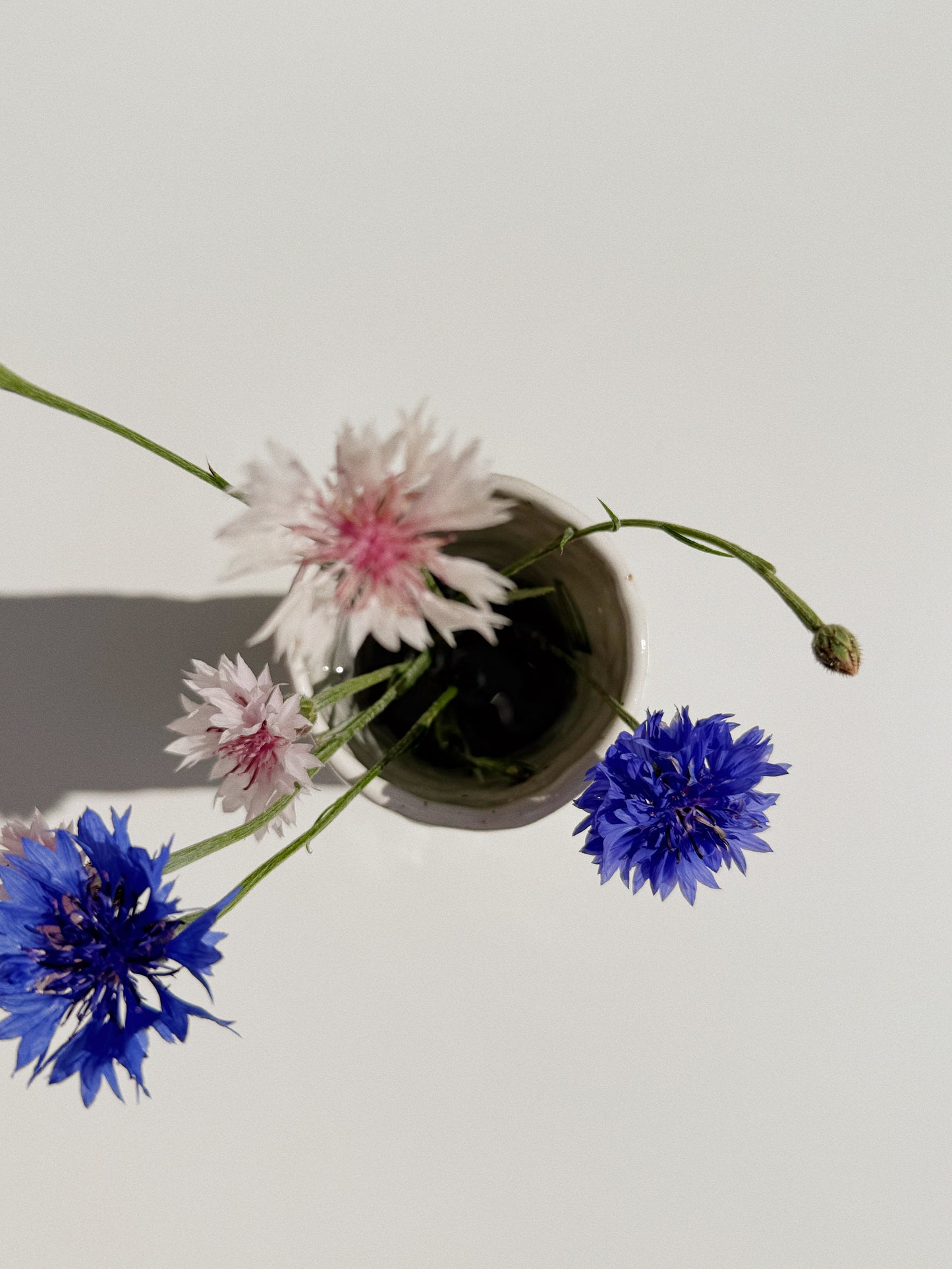 Vase pincé blanc #1