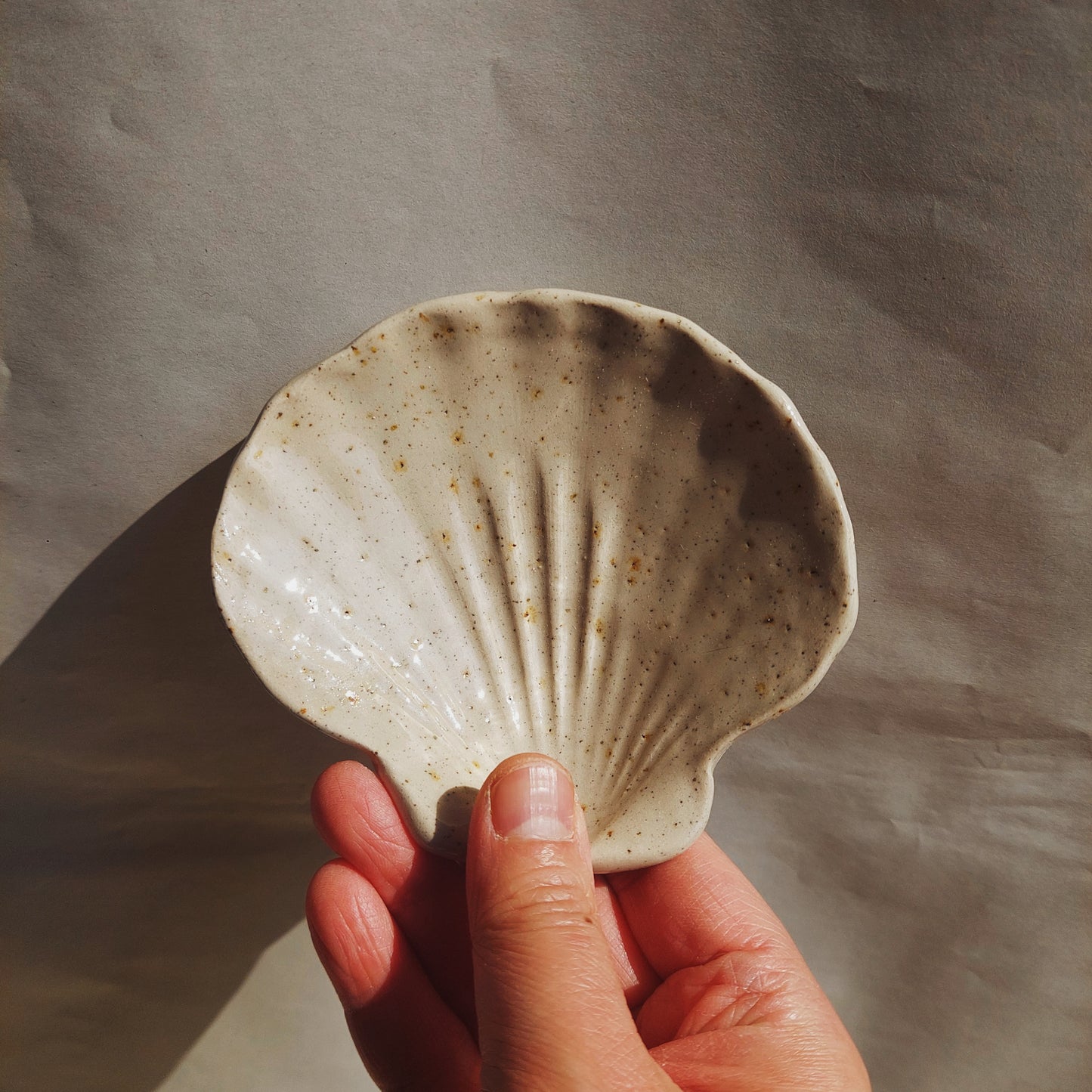 Shell plates - coupelle coquillage