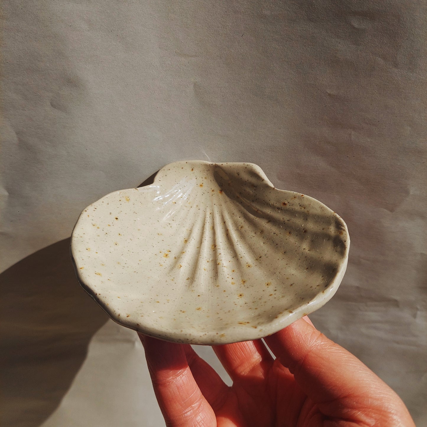 Shell plates - coupelle coquillage