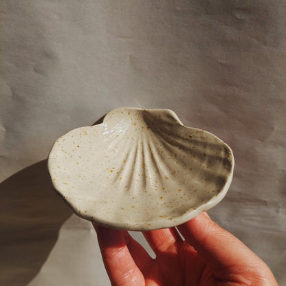 Shell plates - coupelle coquillage