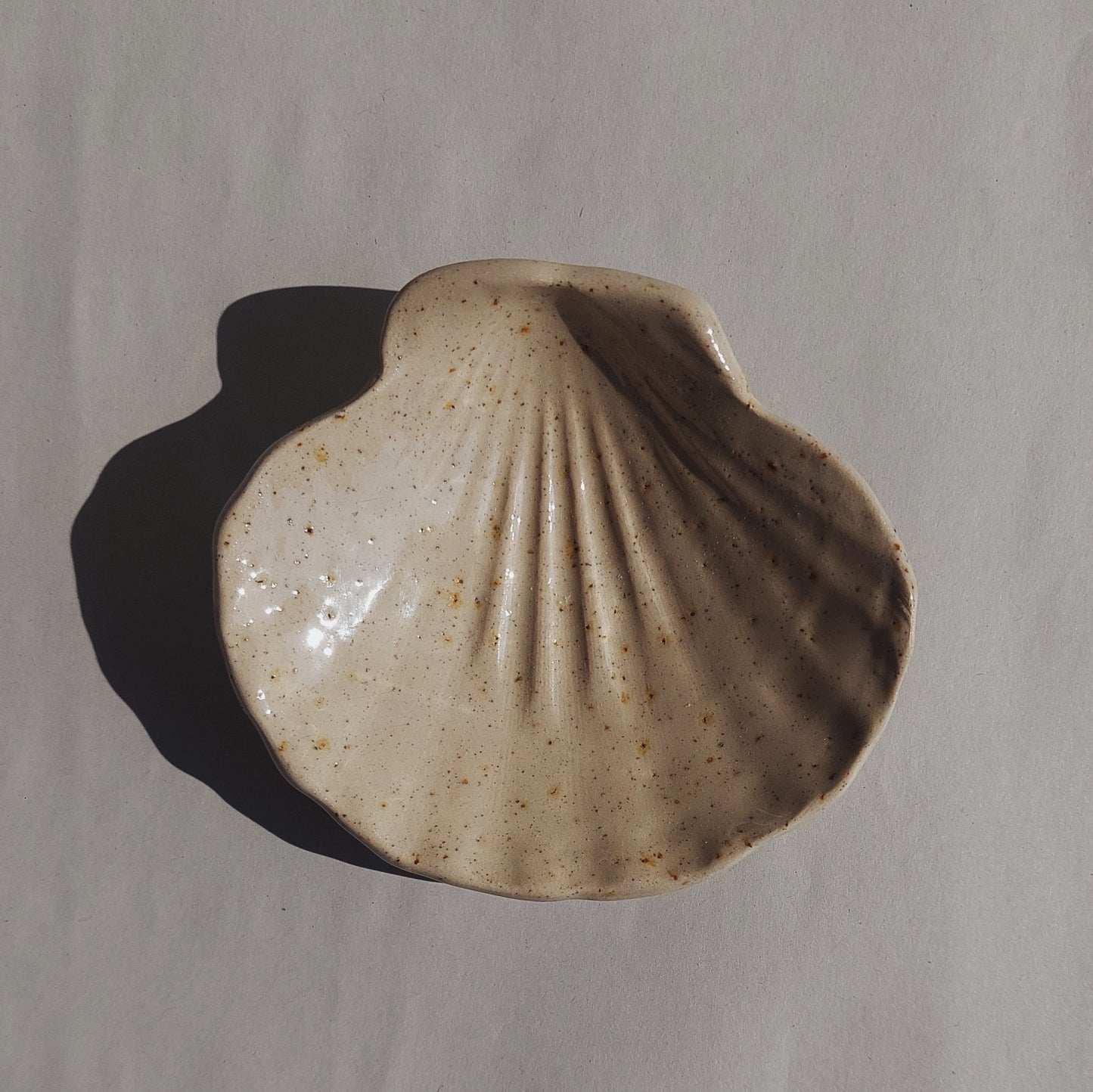 Shell plates - coupelle coquillage